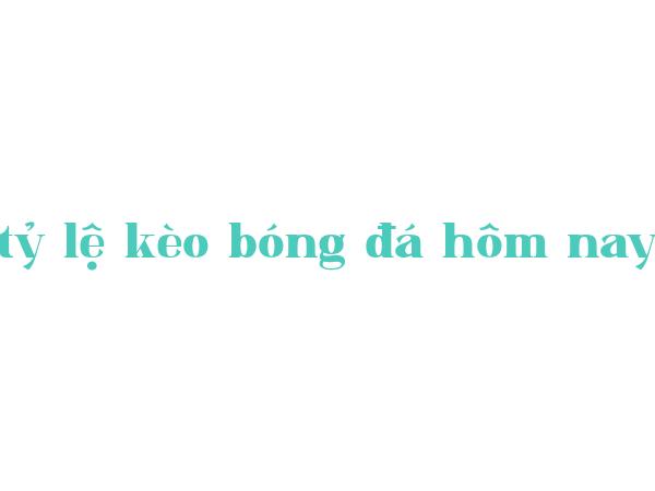 Máy đo độ cứng...