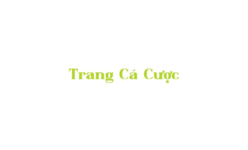 Công ty Vật liệu Mới Hiếm tổ chức hội nghị thúc đẩy công tác quản lý tinh gọn.